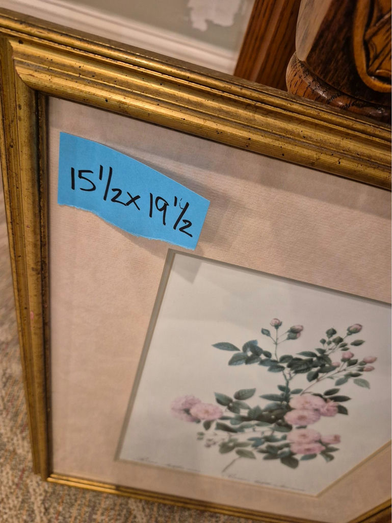 Framed Rosa multiflora carnea botanical print - image 3 of 3
