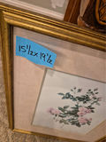 Framed Rosa multiflora carnea botanical print - thumbnail 3 of 3