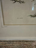 Two Framed John Westcott Tree Prints - thumbnail 4 of 9