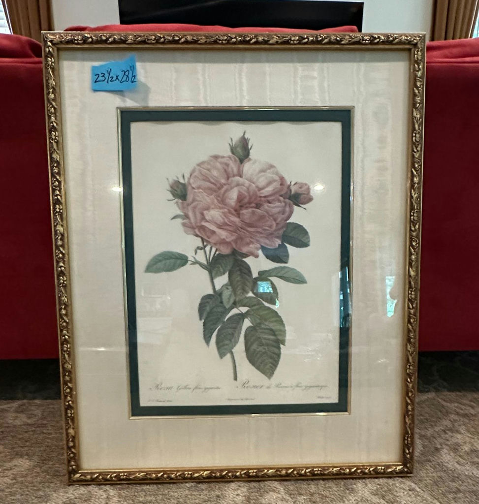 Framed rose botanical print by Pierre-Joseph Redouté - image 4 of 4
