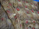 Cashmere Scarf With Peacock Feather Pattern - thumbnail 1 of 2