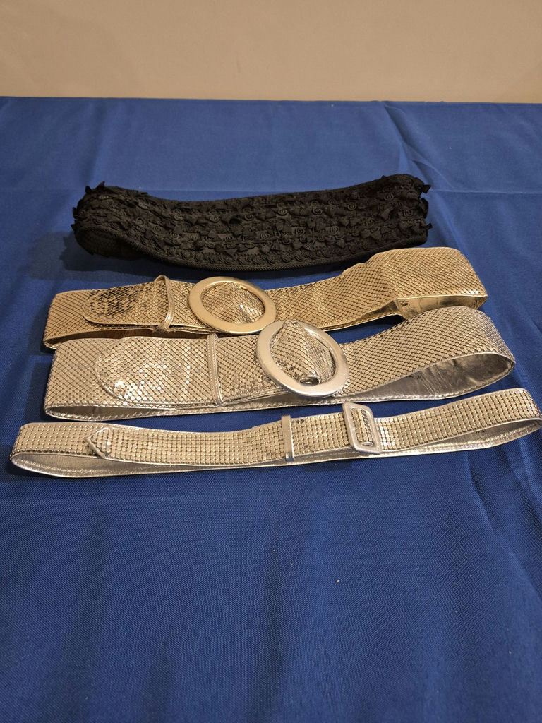 Collection of Fashion Belts - image 2 of 2