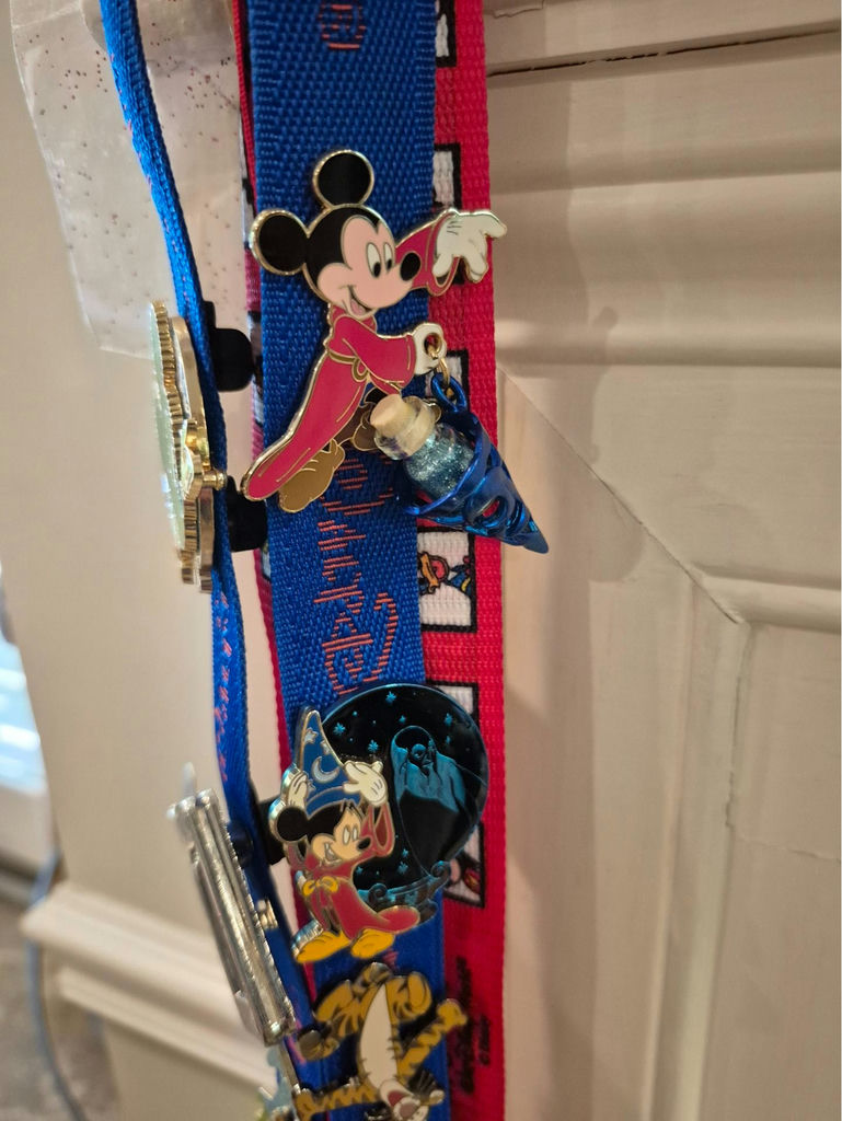 Disney tote bag with pin-lanyard set - image 9 of 12
