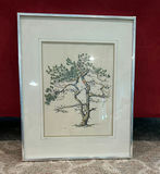 Two Framed John Westcott Tree Prints - thumbnail 2 of 9