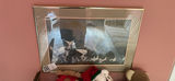 Two framed photographic prints - thumbnail 4 of 4