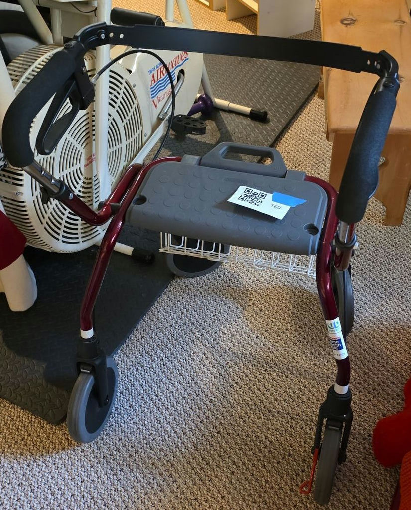 Dolomite Rolling Walker and epX Back Support - image 2 of 3