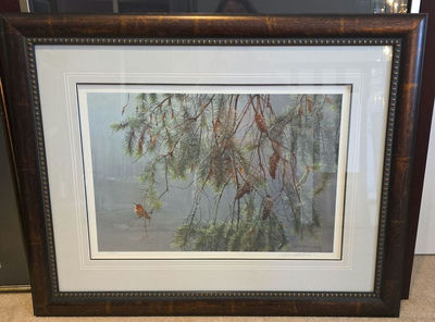 Robert Bateman Framed Signed & Numbered Print 628/950 - "Douglas Fir And Rufous Hummingbird" - Image 1 of 3