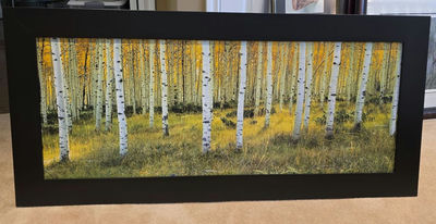 Framed Birch Forest Landscape Wall Art - Image 1 of 1