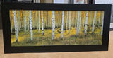 Framed Birch Forest Landscape Wall Art - thumbnail 1 of 1