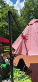 Pink patio umbrella with potted ferns - thumbnail 4 of 4