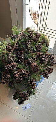 Christmas tees, garland for railing and Pine cones - Image 1 of 6
