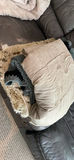 Plush Blankets and Throws - thumbnail 4 of 7