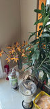Christmas tees, garland for railing and Pine cones - thumbnail 6 of 6