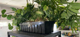 Artificial houseplants in pots - thumbnail 3 of 4