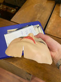 Vintage Masks - thumbnail 2 of 2