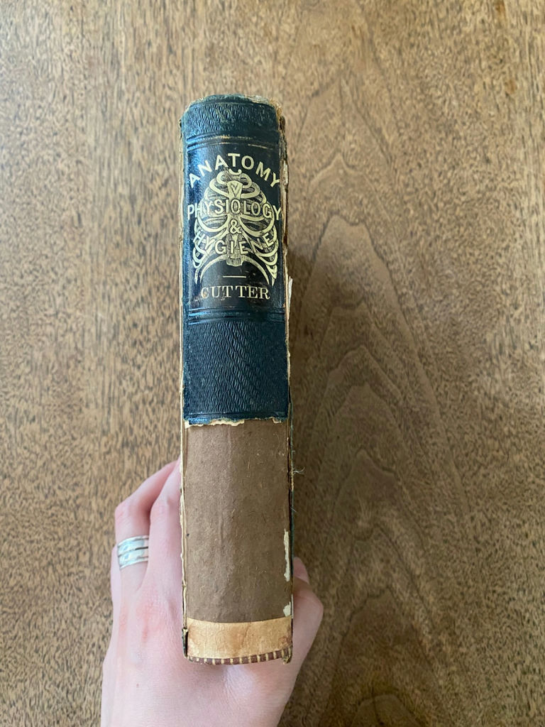 Vintage Books  - image 12 of 16