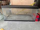Large Glass Terrarium - thumbnail 1 of 1