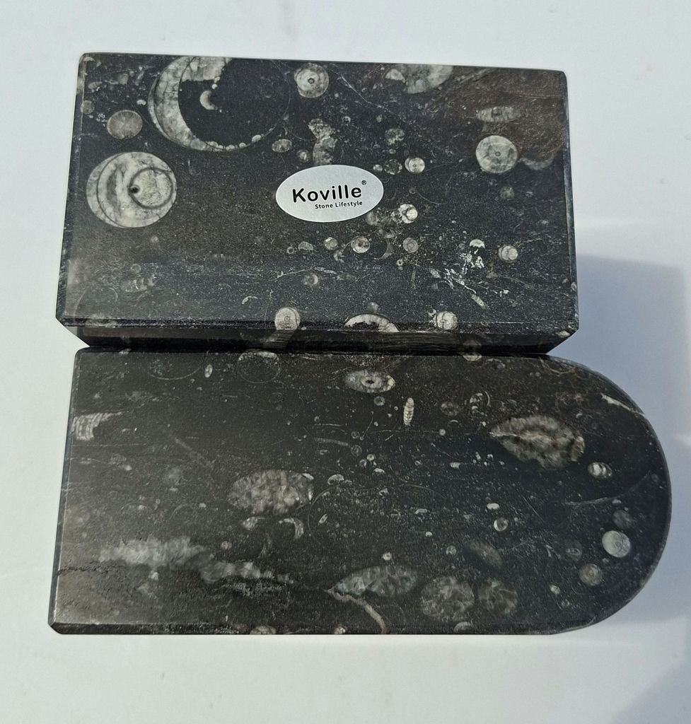 Koville Stone Lifestyle Fossil Stone Bookends - image 5 of 5