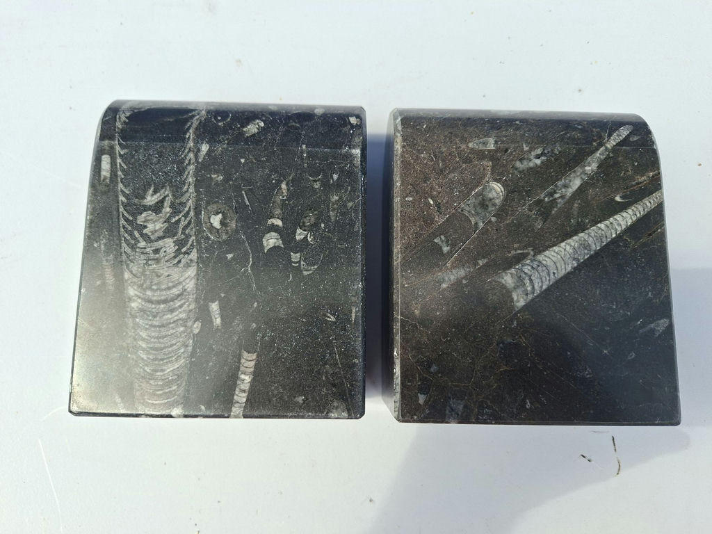 Koville Stone Lifestyle Fossil Stone Bookends - image 1 of 5