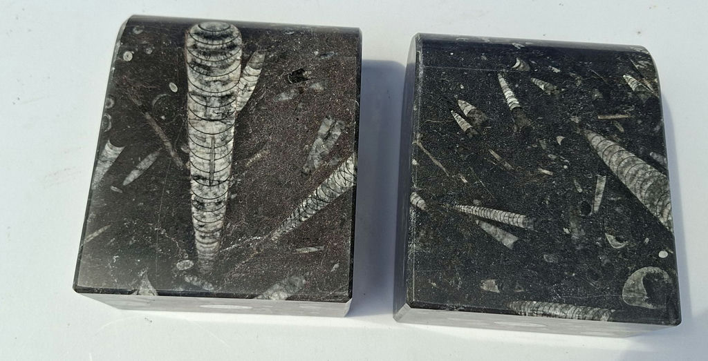 Koville Stone Lifestyle Fossil Stone Bookends - image 3 of 5