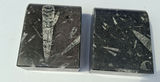 Koville Stone Lifestyle Fossil Stone Bookends - thumbnail 3 of 5