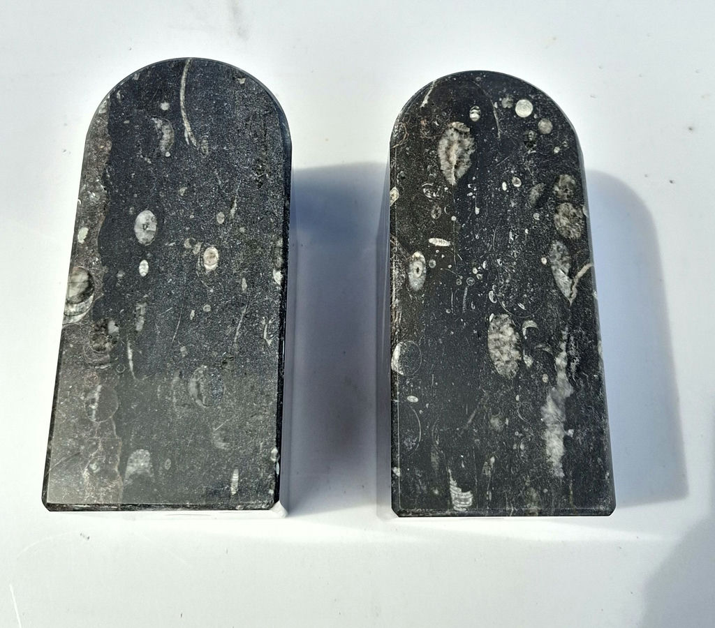 Koville Stone Lifestyle Fossil Stone Bookends - image 4 of 5