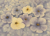 Framed Floral Painting Signed Olga - thumbnail 3 of 3