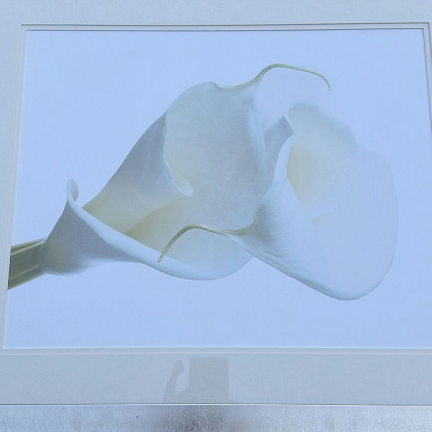 Framed White Calla Lily Wall Art Print - image 3 of 4