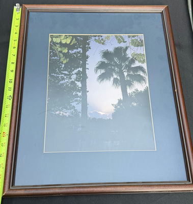 Framed Palm Tree Landscape Print - Image 1 of 3