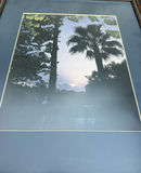 Framed Palm Tree Landscape Print - thumbnail 3 of 3