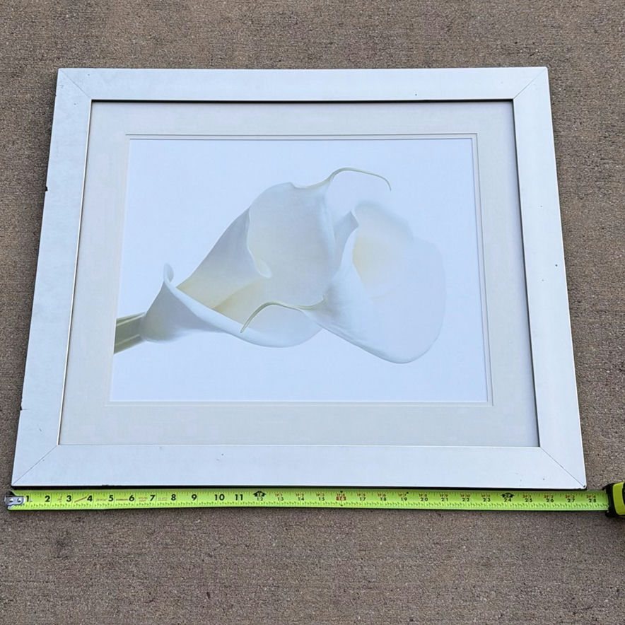 Framed White Calla Lily Wall Art Print - image 1 of 4