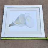 Framed White Calla Lily Wall Art Print - thumbnail 1 of 4