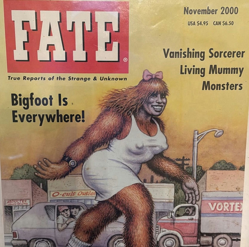 Framed FATE Magazine Cover Print November 2000 - image 3 of 3