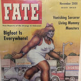 Framed FATE Magazine Cover Print November 2000 - thumbnail 3 of 3