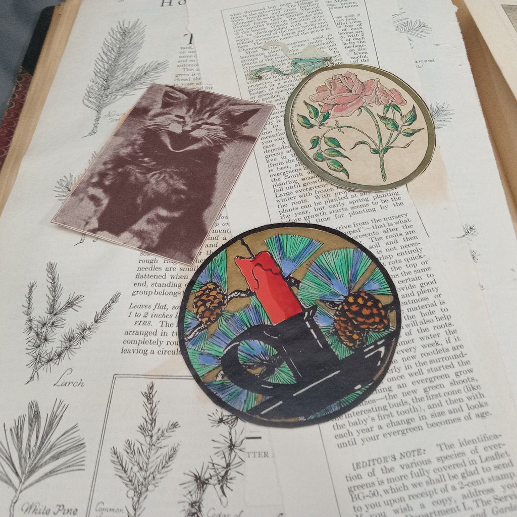Antique Scrapbooks - Whimsical - image 9 of 25