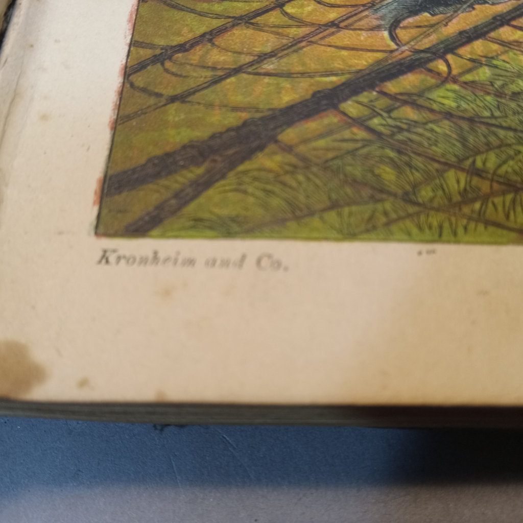 Antique Children's Books - image 28 of 29