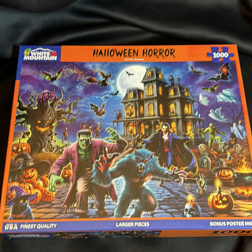 Assorted Jigsaw Puzzles - image 4 of 4