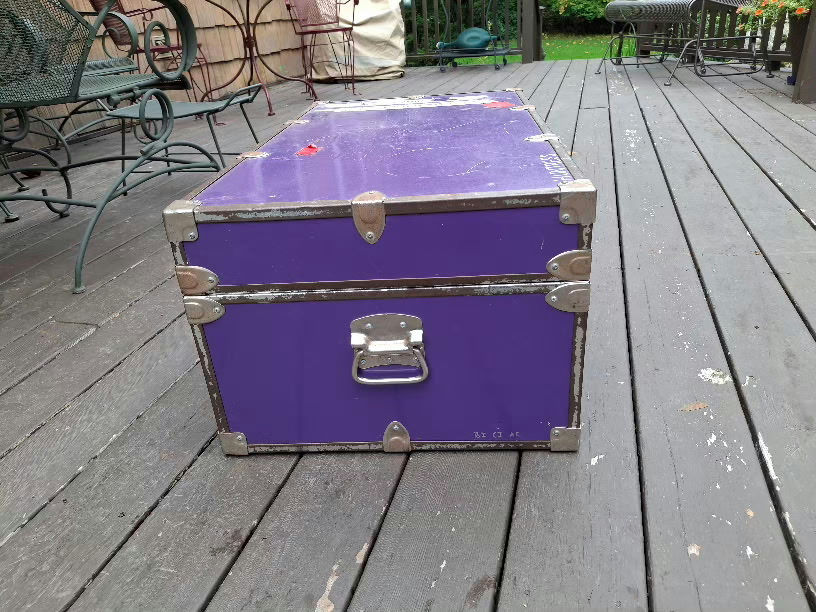 Purple Storage Trunk - image 4 of 10