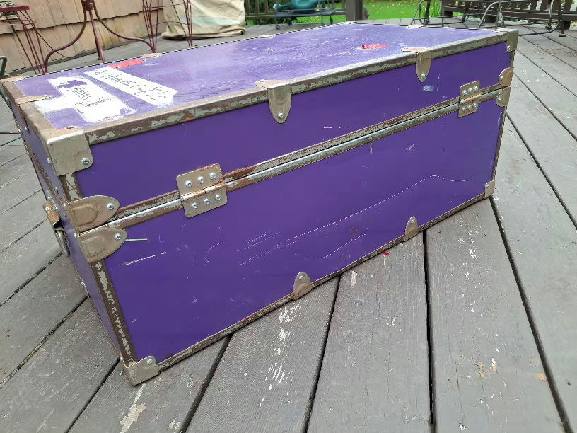 Purple Storage Trunk - image 3 of 10
