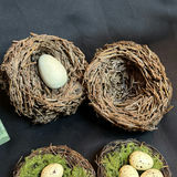 Eggstatic! Decorative Bird-Themed Home Decor with Egg Coddler - thumbnail 6 of 10