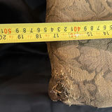 Antique Primitive Wooden Stool - thumbnail 6 of 7