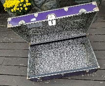 Purple Storage Trunk - image 9 of 10