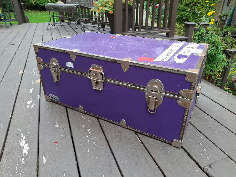 Purple Storage Trunk - image 1 of 10