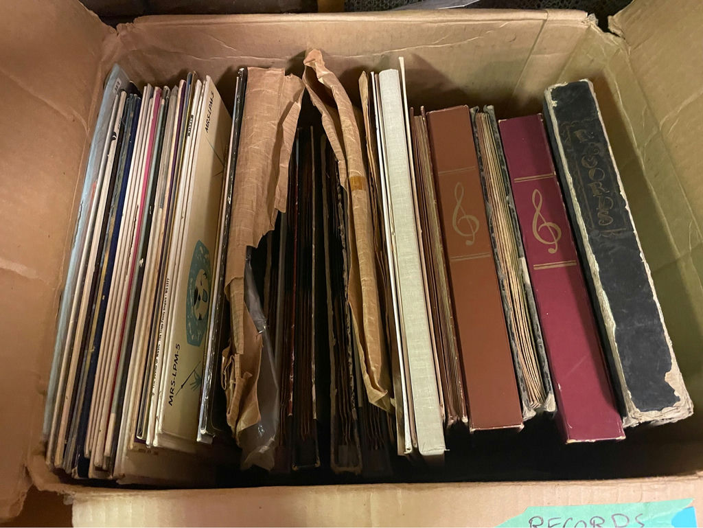 Collection of Vinyl Records - image 3 of 11