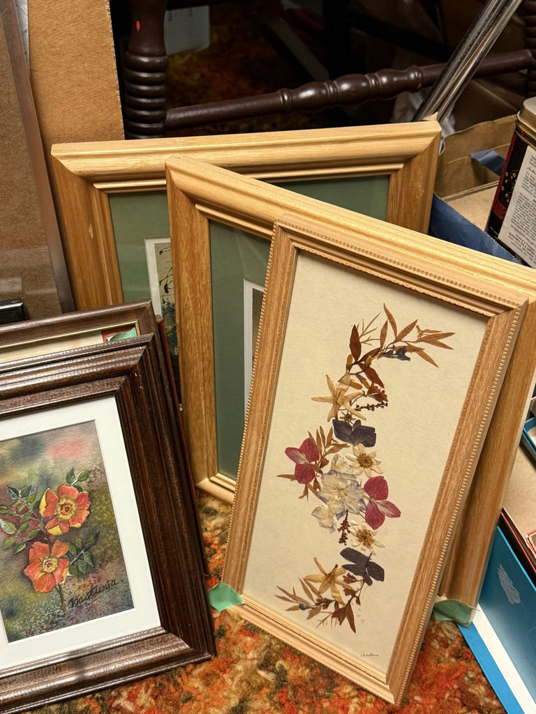 Framed Pressed Flower Artwork Collection - image 3 of 19
