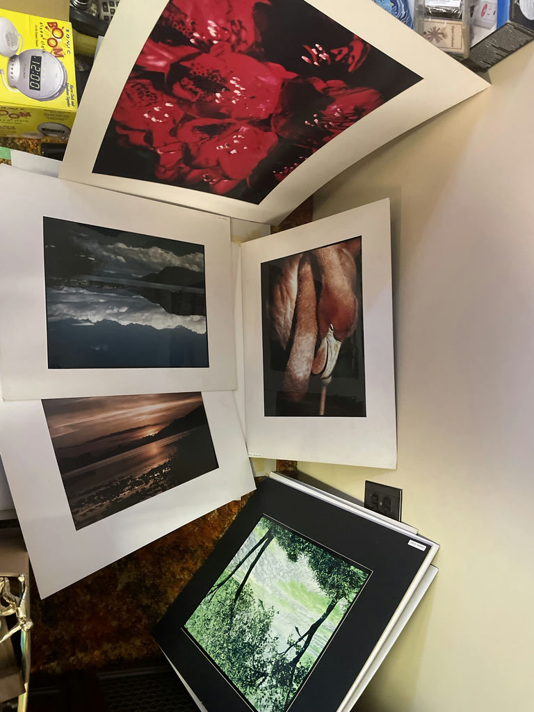 Collection of Nature and Landscape Photo Prints - image 5 of 10