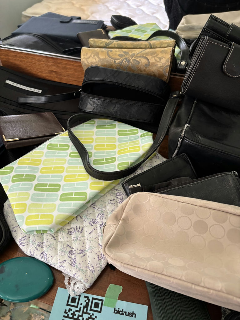 Assorted Handbags, Wallets, Pouches, and Travel Accessories - image 3 of 10
