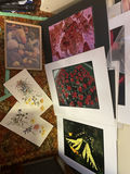 Collection of Nature and Landscape Photo Prints - thumbnail 8 of 10