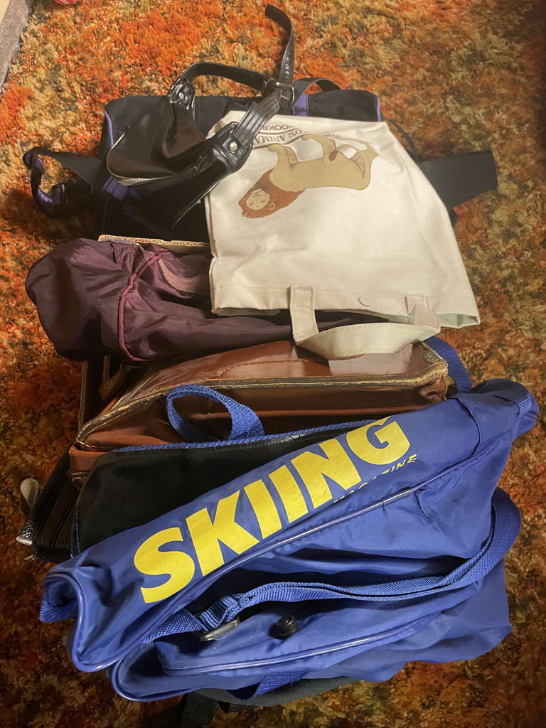 Assorted Bags and Cases - image 1 of 7