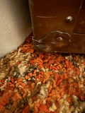 Brown Storage Trunk - thumbnail 8 of 14